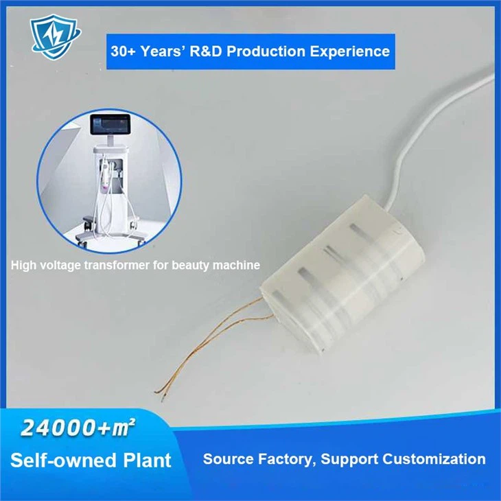 High Voltage Transformer For Beauty Machine Health Physiotherapy Machine
