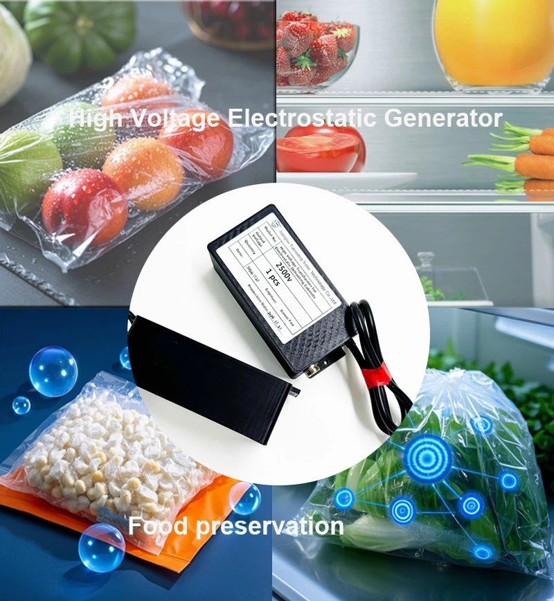 high voltage electrostatic generator for food preservation high voltage electrostatic generator for food preservation